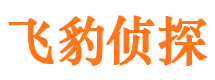 南岸市私家侦探